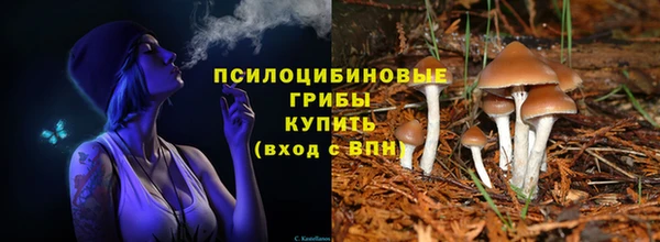 амф Михайловка